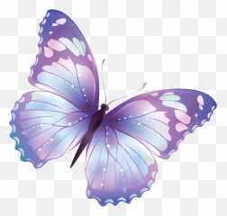 Large Clip Butterfly Transparent Png - Background Clipart