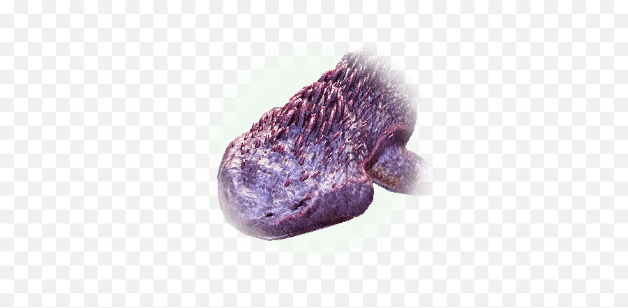 Hekaru - Bdo Codex Bdo Hungry Sea Monster Locations Png,Sea Monster Icon