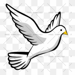 Dove Bird Png Image With Transparent - Flying Cartoon Drawing