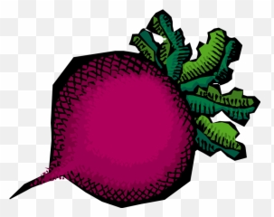 Vegetable Clipart Png In This 2 Piece Svg - Vegetables