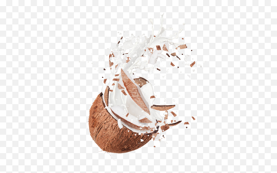 Download Coconut And Chocolate Splash Png Image With No - Coconut Splash Png,Chocolate Splash Png