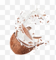 Download Coconut And Chocolate Splash Png Image With No - Coconut Splash Png,Chocolate Splash Png