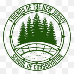 Spruce - Pine Tree Top View Png