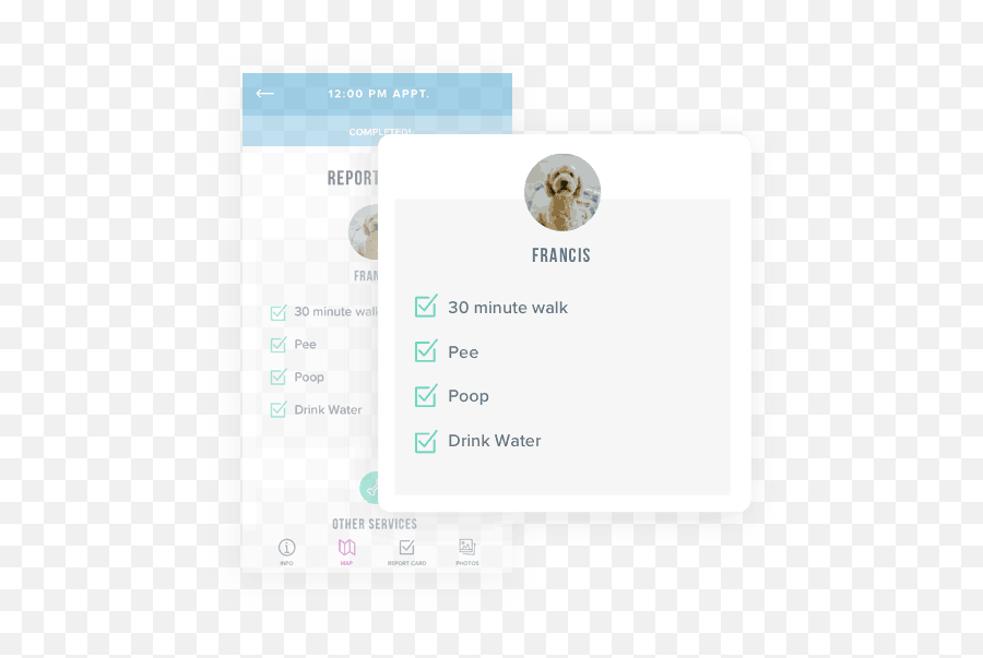 Best Dog Walking App For Pet Parents Report Card Photos - Vertical Png,Report Card Icon