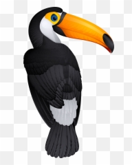 Toucan Bird Png Clipart Picture - Toucan Bird Clipart,Tucan Png