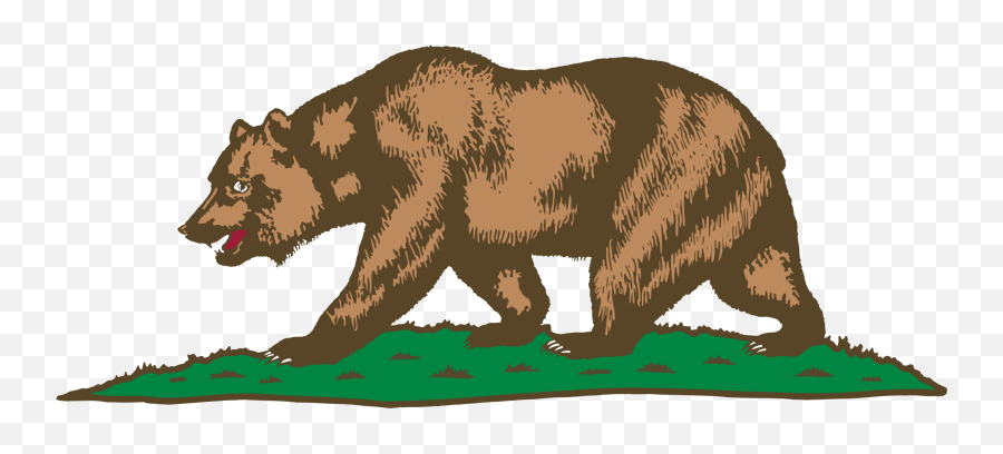 California Bear Png 7 Image - California Grizzly Bear Drawing,Grizzly Bear Png
