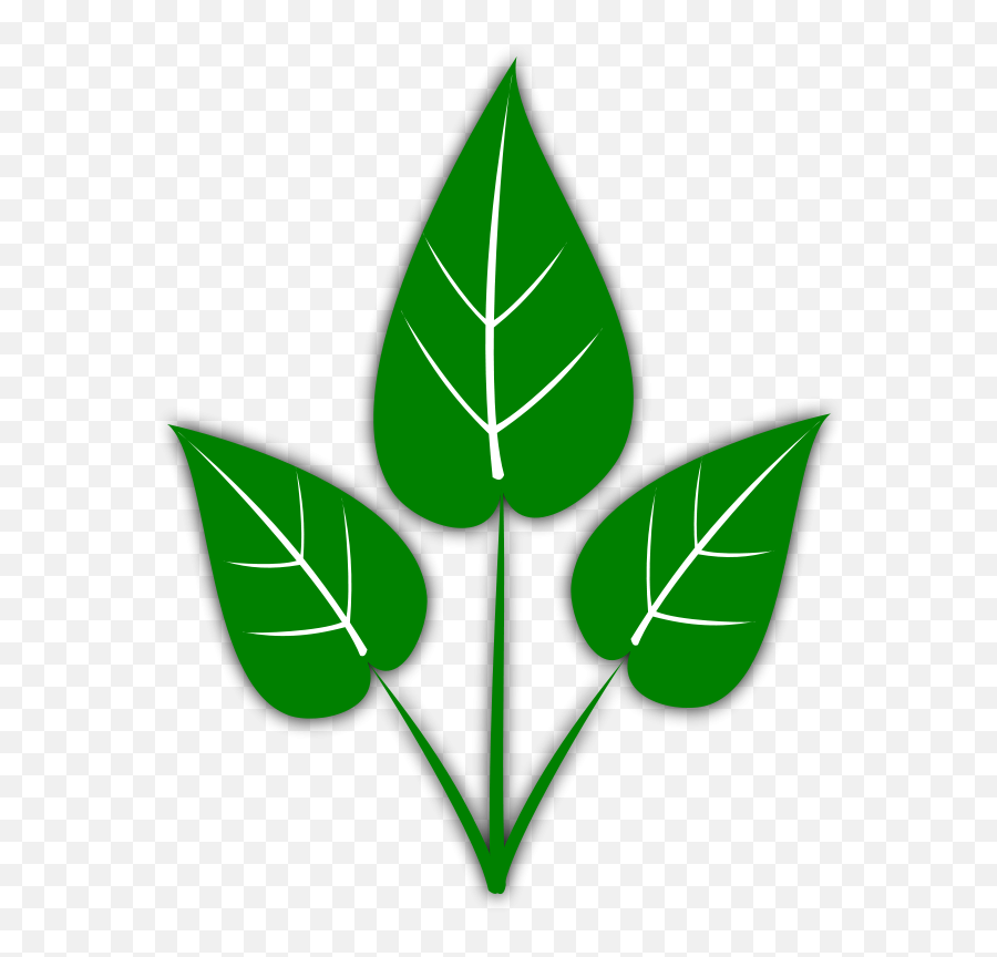 Free Leaf Images Freeuse Png Files - Please Don T Water The Plants,Leaves Clipart Png