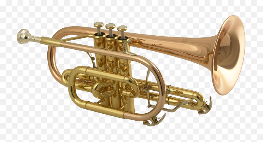 Trumpet Download Transparent Png Image - Trumpet Png,Trumpet Transparent