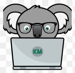 Cropped - Cartoon Png,Koala Transparent