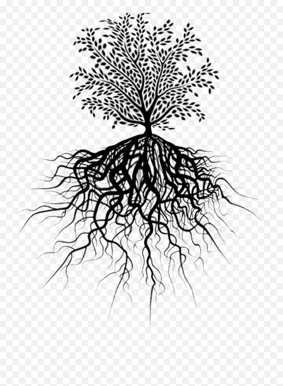 Download Tree Roots Png - Transparent Tree Root Png,Tree Of Life Png
