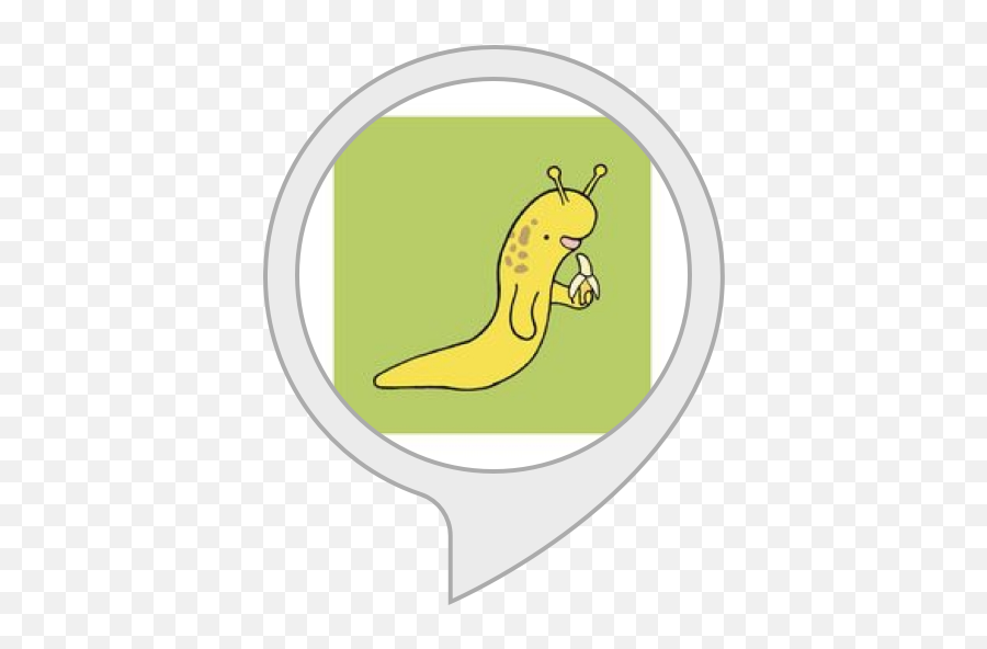 Amazoncom Banana Slug Facts Alexa Skills - Slug Png,Slug Png