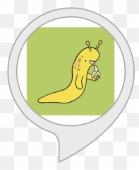 Amazoncom Banana Slug Facts Alexa Skills - Slug Png,Slug Png
