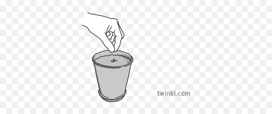 Planting Seed Black And White Illustration - Twinkl Planting Drawing Seed Png,Planting Png