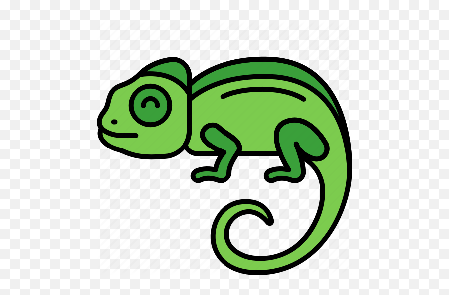 Animal Chameleon Lizard Reptile Icon - Chameleon Icon Png,Chameleon Png