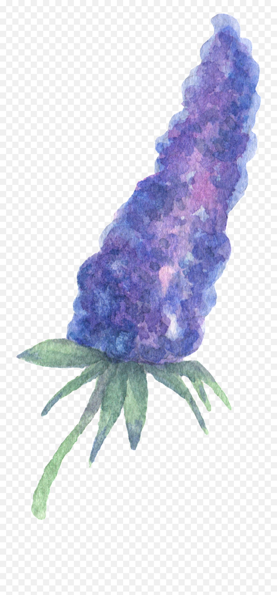 Download Hand Painted Purple Plant Flower Watercolor - Transparent Png Watercolor Plant,Purple Watercolor Png
