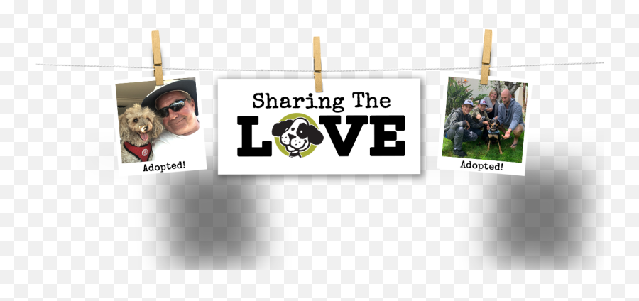 Home - Dexteru0027s Deli Online Banner Png,Share The Love Logo