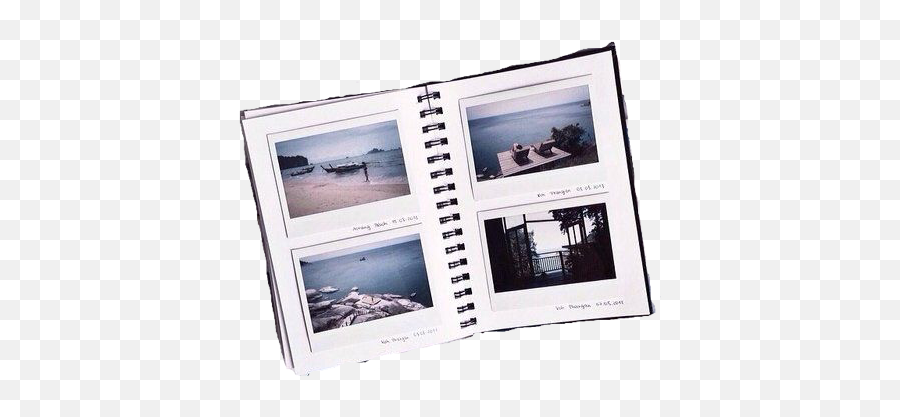 Photo Album - Aesthetic Polaroid Scrapbook Png,Album Png