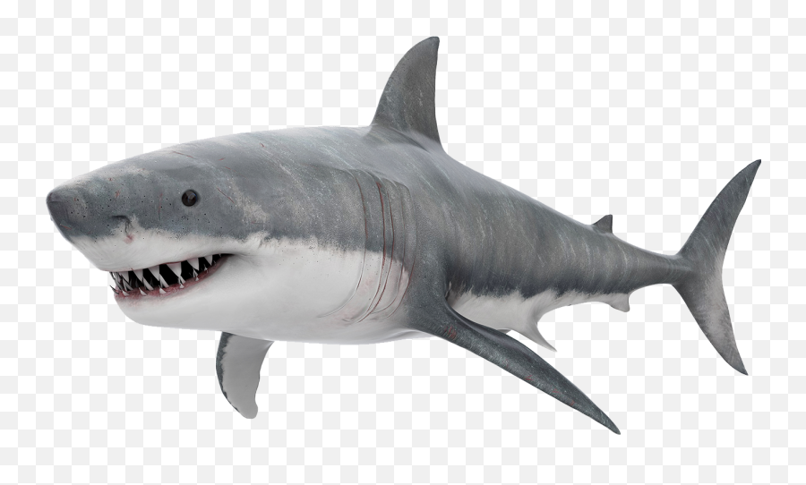 Shark Attack Png - The Defenders Of The Island And One Of Realistic Great White Shark Clipart,Shark Transparent