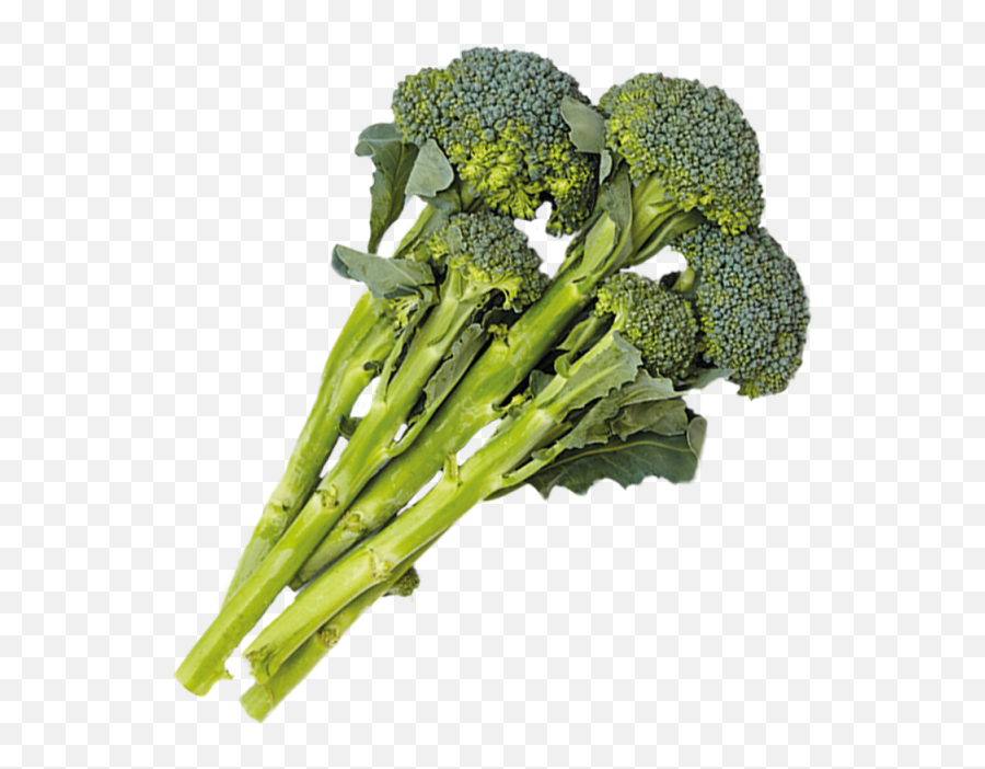 Download 1 Cup - Broccolini Png,Broccoli Transparent Background
