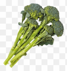 Download 1 Cup - Broccolini png