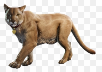 Far Cry 5 - Peaches Png