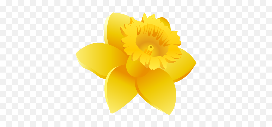 Download Hd Daffodils Clipart Wales - Daffodil Icon Wales Png,Daffodil Png