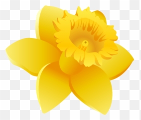 Download Hd Daffodils Clipart Wales - Daffodil Icon Wales Png,Daffodil Png