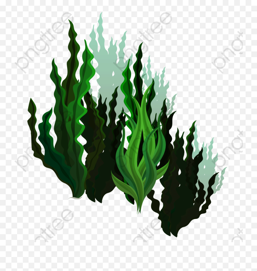 Green Kelp Marine Life Vector - Seaweed Png,Kelp Png