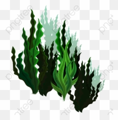 Green Kelp Marine Life Vector - Seaweed Png,Kelp Png