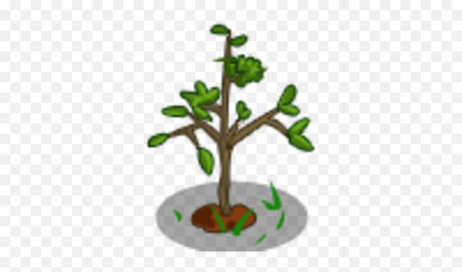 Mystery Seedling - Mystery Seedling Farmville Png,Seedling Png