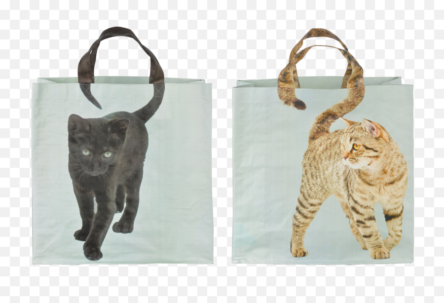 Shopping Bag Cats Tail Ass - Shopping Bag With Animal Png,Cat Tail Transparent