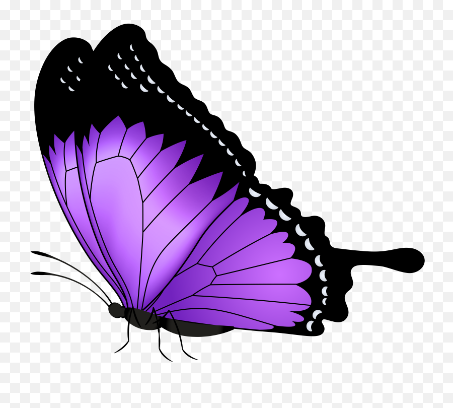 Purple Butterfly Transparent Clipart - Transparent Background Butterfly Clipart Png,Butterfly Transparent