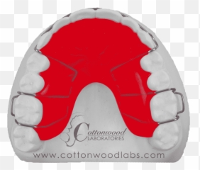 Cottonwood Labsorthodontic Appliances - Bone png
