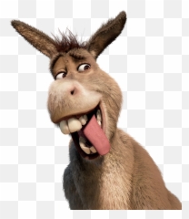 Donkey From Shrek Transparent Png - Shrek Forever After Poster,Shrek Head Png