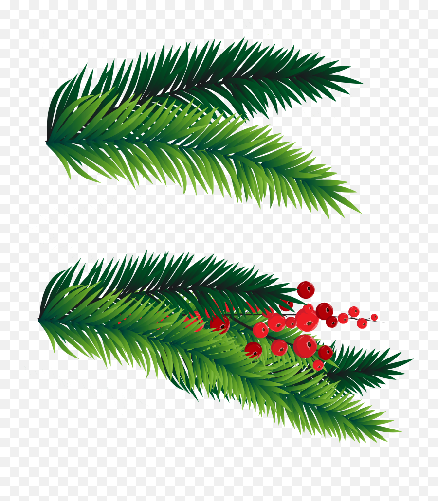 Download 28 Collection Of Christmas Tree Branches Clipart - Christmas Tree Branch Png,Tree Branches Png