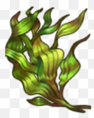 Algae - Illustration Png,Algae Png