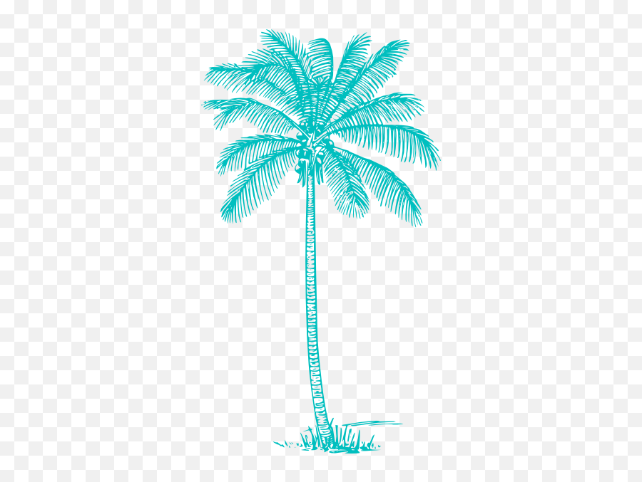 Palm Tree Clip Art Transparent - Coconut Tree Outline Png,Palm Tree Clipart Transparent Background