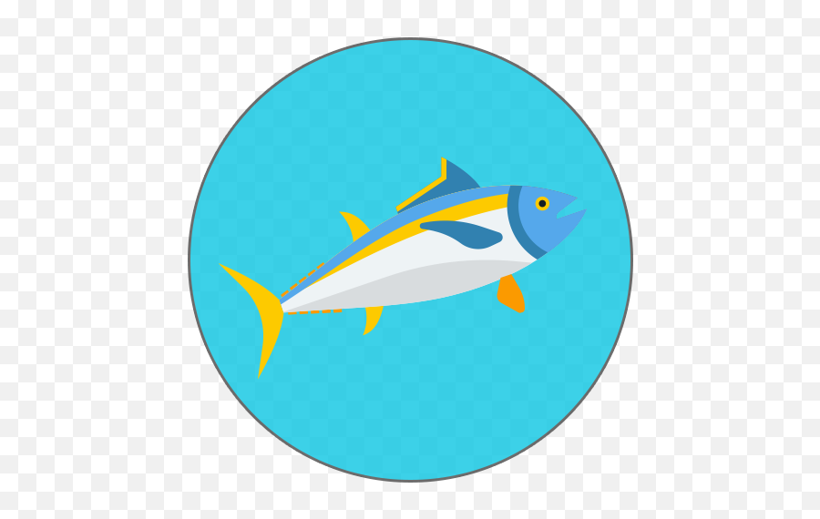 Fresh Frozen Tuna Products U2013 Citra Mina - Fish Products Png,Tuna Icon