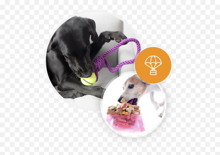 How It Works - Martingale Png,Dog Bowl Icon