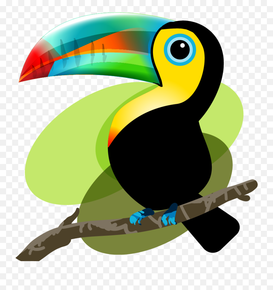 Clipart Library Iquitos Bird Mama And Png Tucan