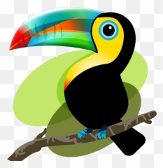 Clipart Library Iquitos Bird Mama And Png Tucan
