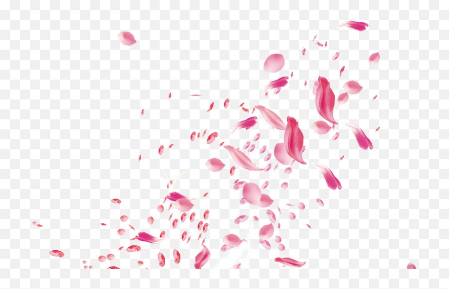 Wedding - Transparent Flowers Falling Png,Rose Petals Transparent Background