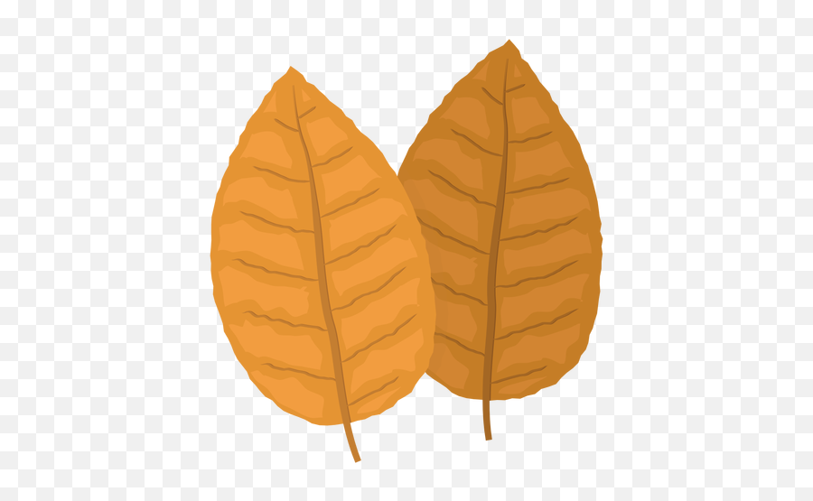 Photo Of Tobacco Leaves Clipart - Tobacco Leaf Png,Leaves Clipart Png