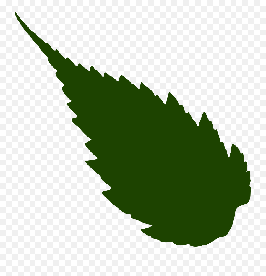 Image Of Drak Green Silhouette A Leaf Free Svg - Neem Leaf Clipart Png,Jungle Leaves Png