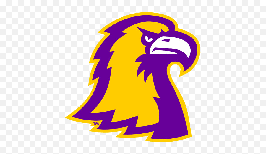 Tennessee Tech Golden Eagles Alternate - Tennessee Technological University Png,Eagle Head Logo