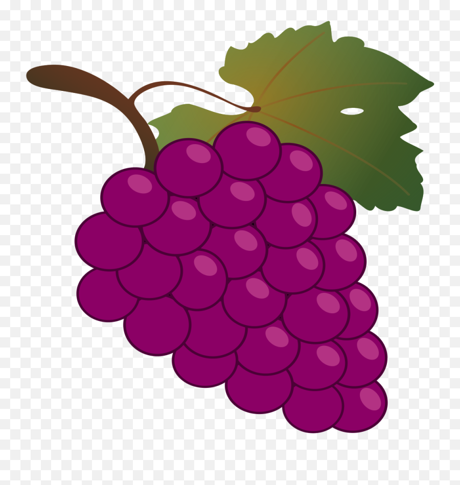 Filebunch Of Grapes Iconsvg - Wikimedia Commons Grapes Clipart Png,Food Clipart Transparent Background