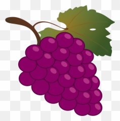 Filebunch Of Grapes Iconsvg - Wikimedia Commons Grapes Clipart Png,Food Clipart Transparent Background