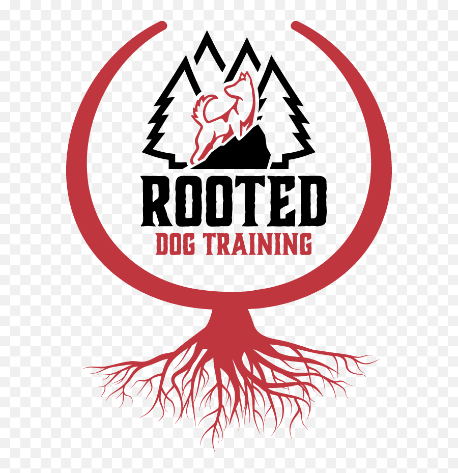 Ontario Dog Obedience Training That Gets Real Results - Silueta Arbol Con Raiz Dibujo Png,Gabe The Dog Png