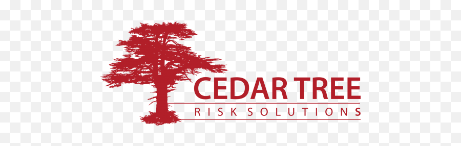 Cedar Tree U2013 Know Your Value - Scenic World Png,Cedar Tree Png