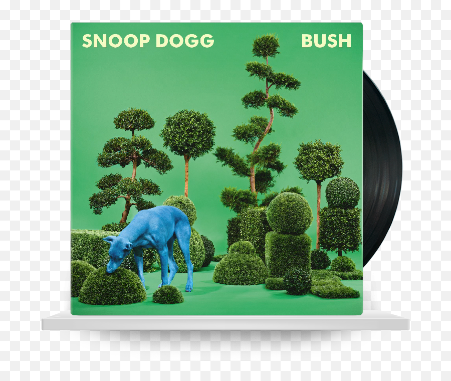 Download 717 - Snoop Dogg Bush Full Size Png Image Snoop Dogg Bush Album,Jeb Bush Png